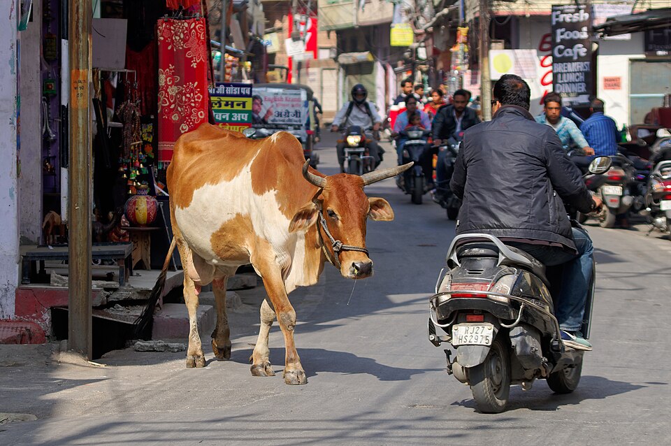 Honda Activa 6G 2026 in Orai
